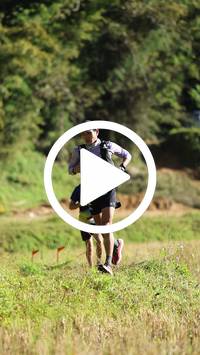 BIB:  <button type="button" onclick="openModal(26565618)" class="btn btn-primary btn-sm float-right" data-toggle="modal" data-target=".modal-high-quality">
                <i class="fa fa-download"></i> Download
                </button>